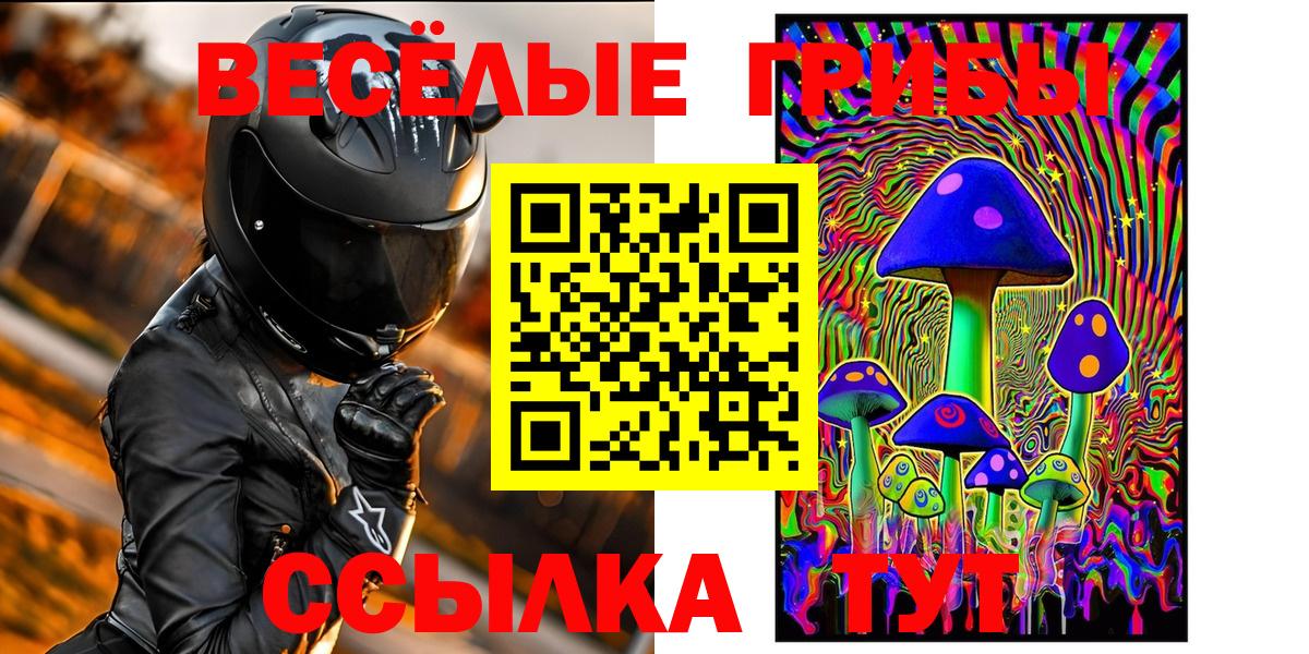 Псилоцибиновые грибы прущие грибы  Вход с VPN  Новочебоксарск 
