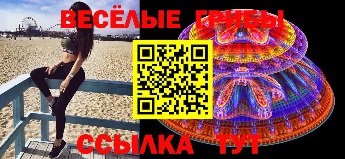 Псилоцибиновые грибы ЛСД Новочебоксарск